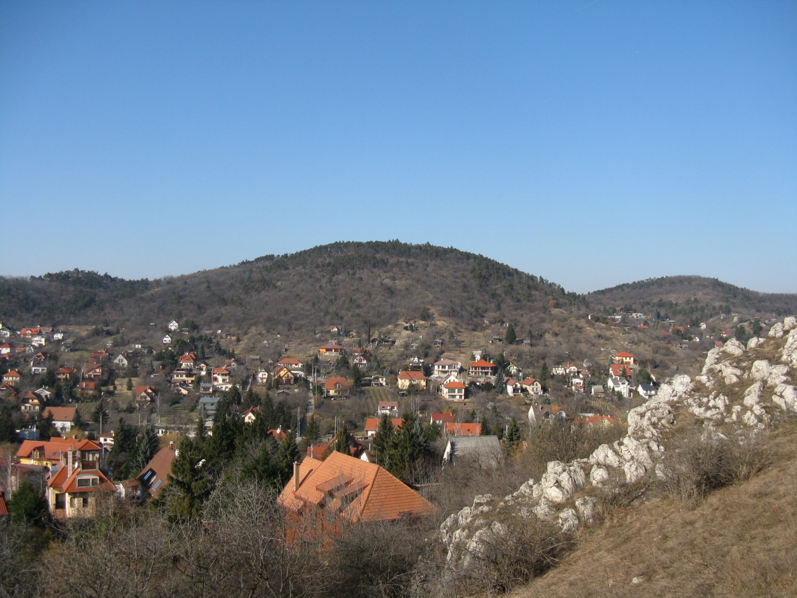 Panoráma