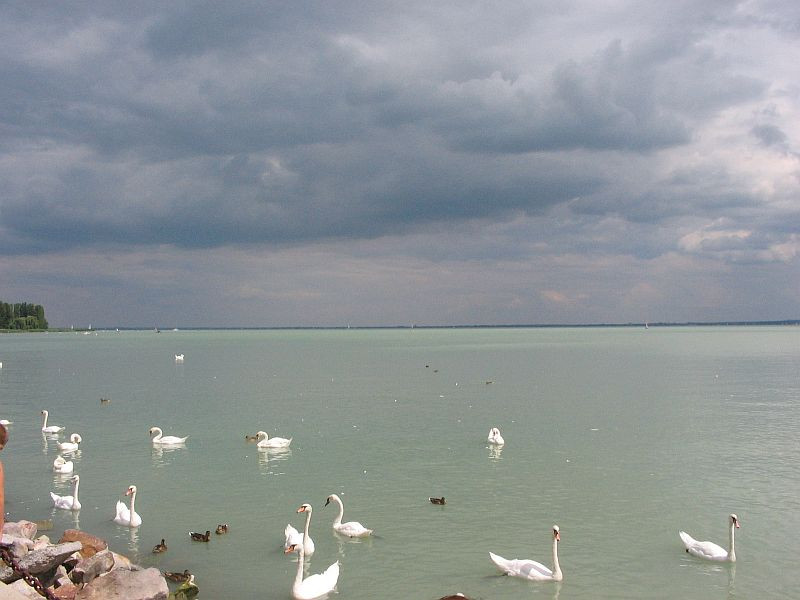 Balatonfüred7