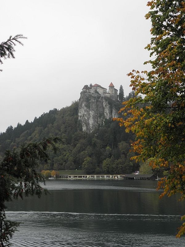 Bled vára