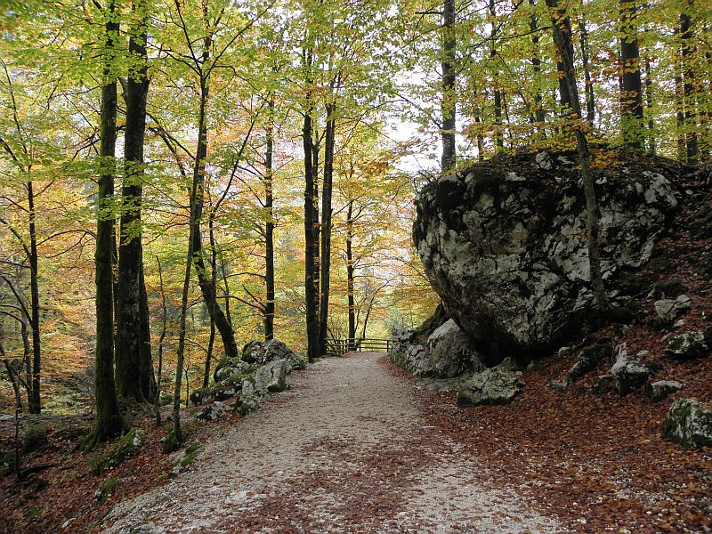 Triglav Nemzeti Park