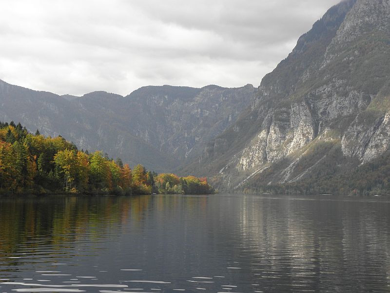 Bohinji-tó