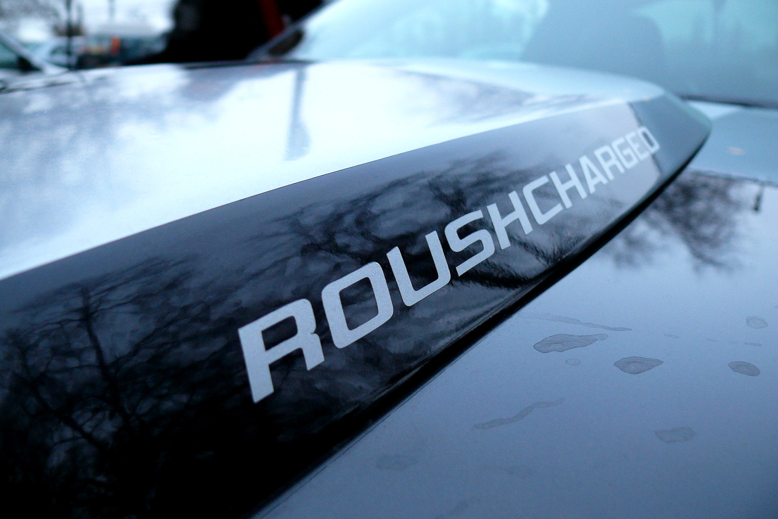 Roush Mustang GT