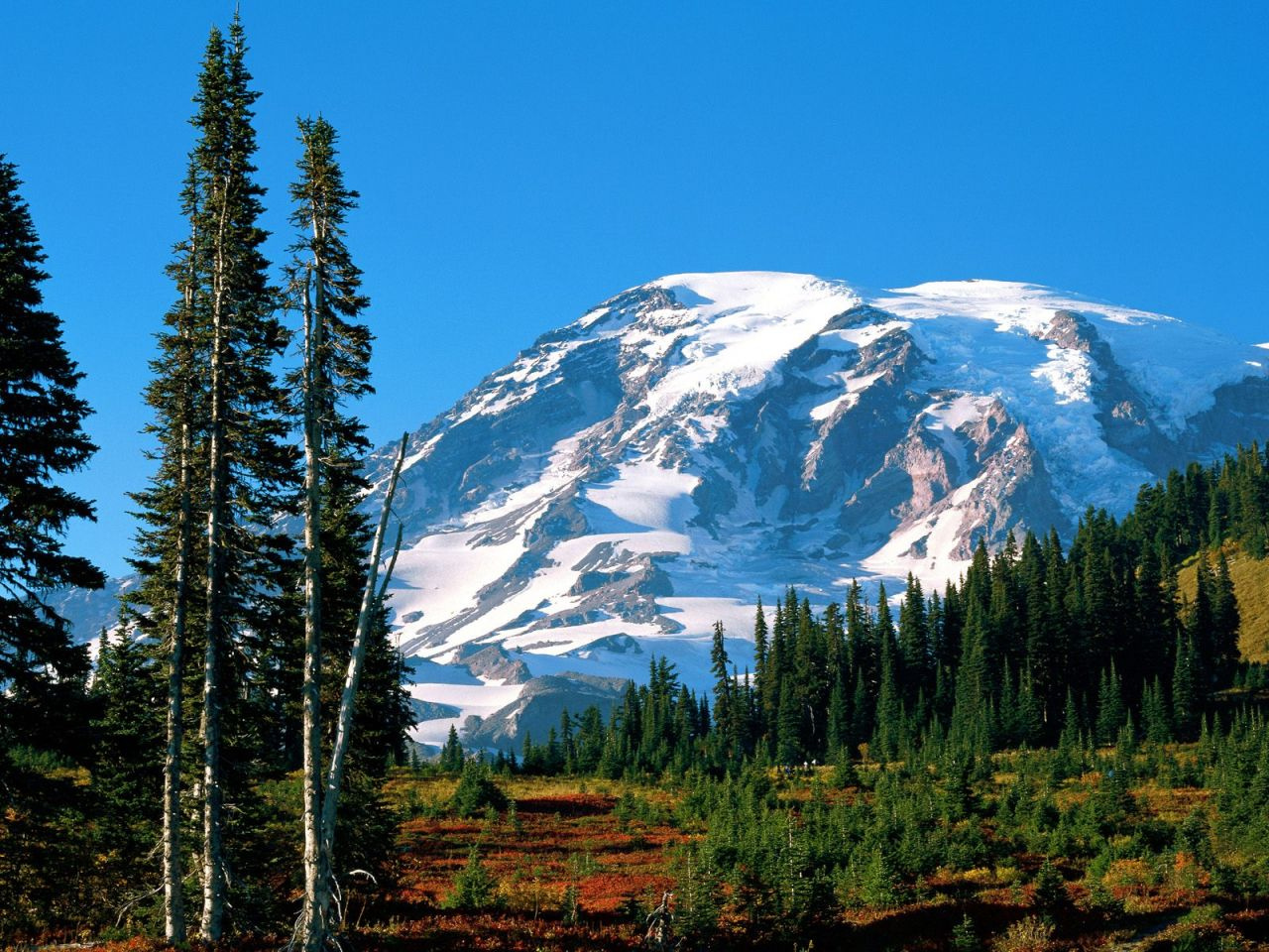 Mount Rainier, Mount Rainier National Park, Washington