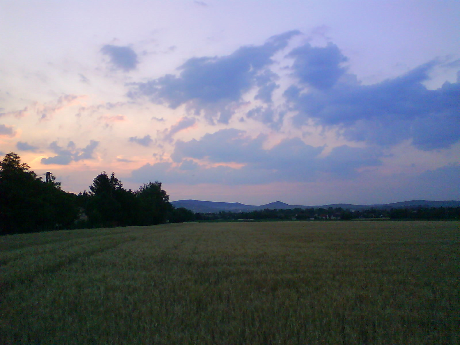 Naplemente a búzamezőn