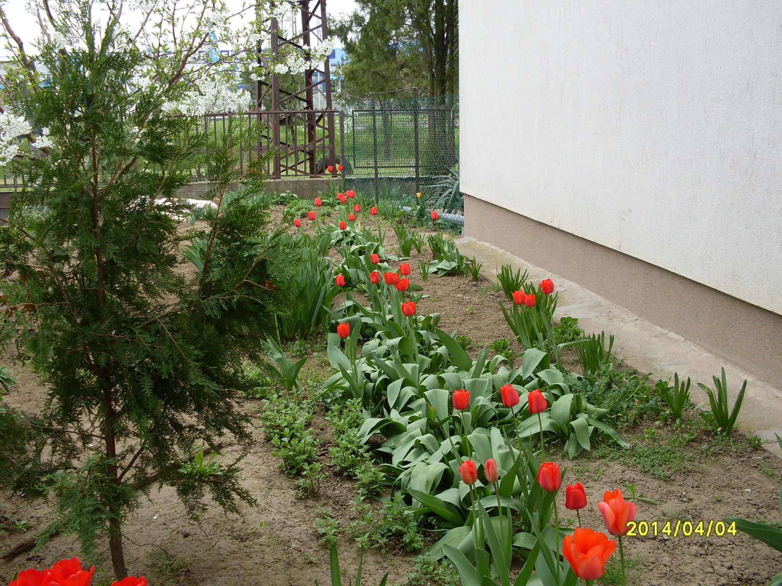 2014. 04. 06 vegyes képek 041