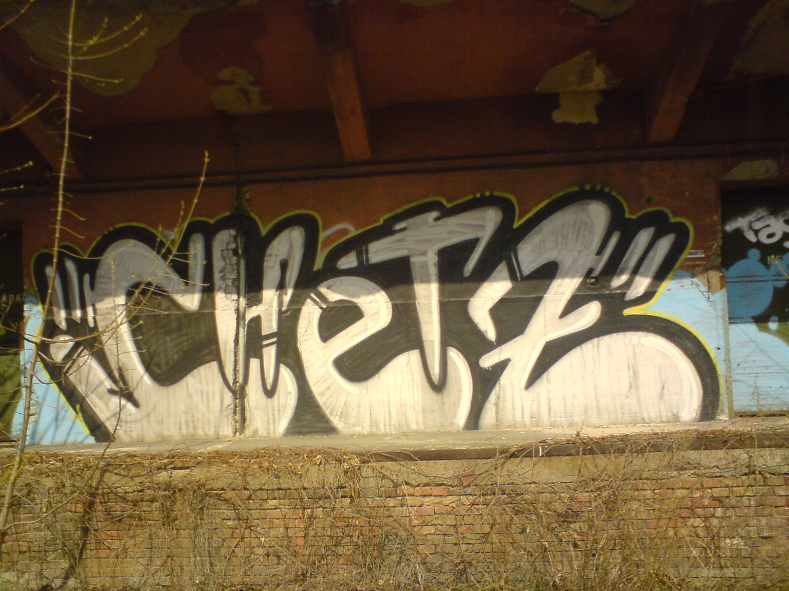73- Chetz 6