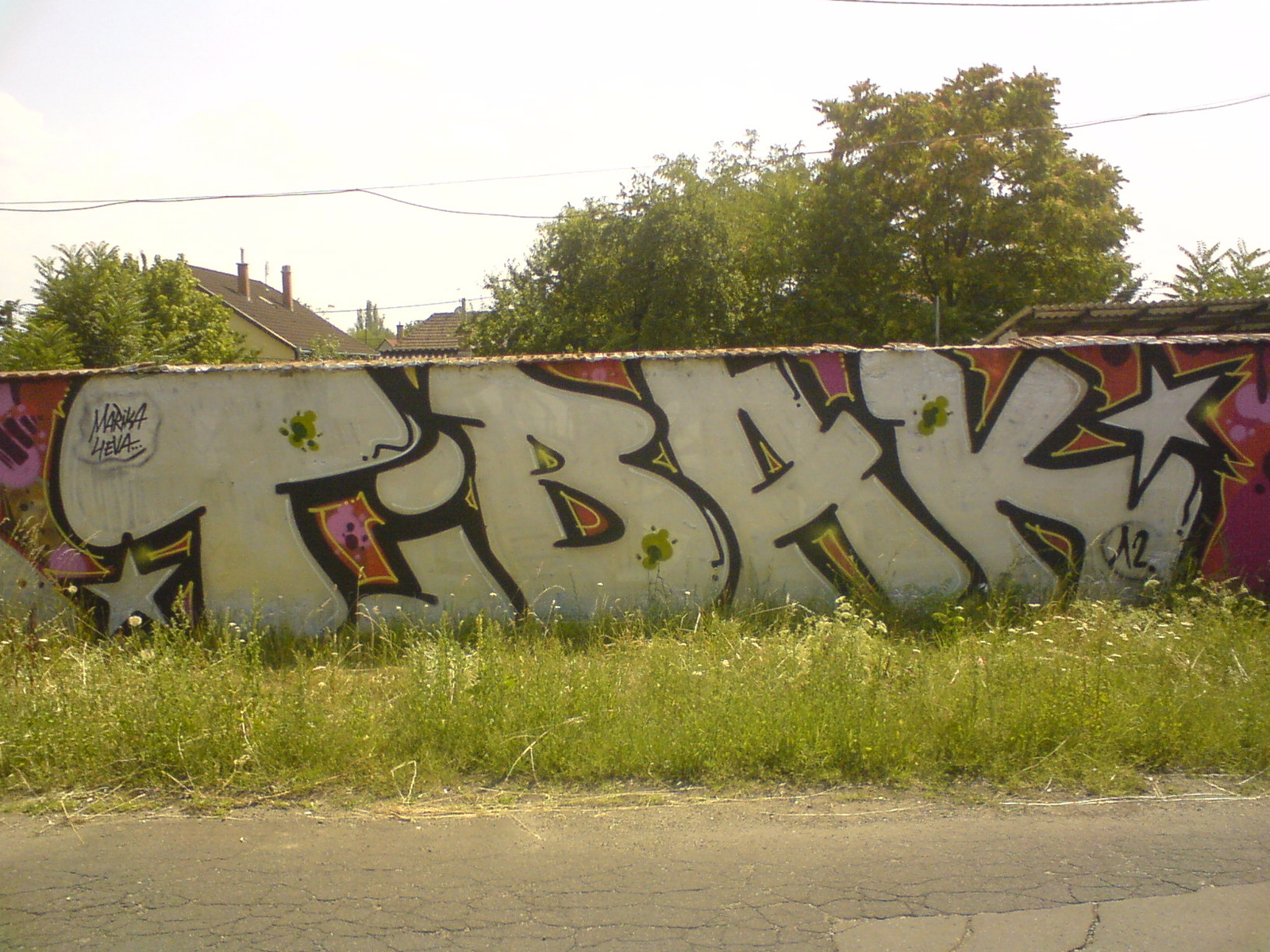 135- Tibak