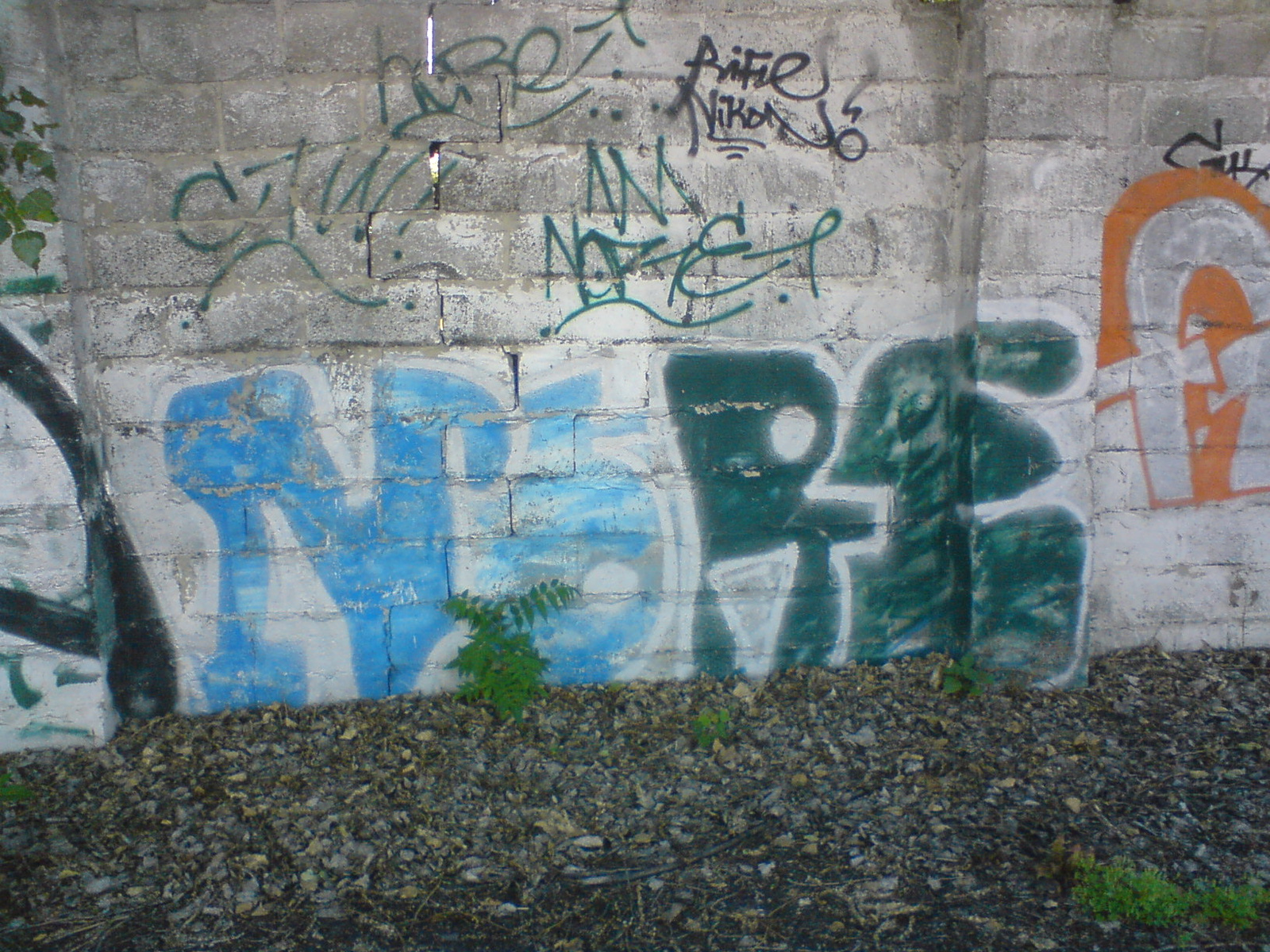 17- Nore