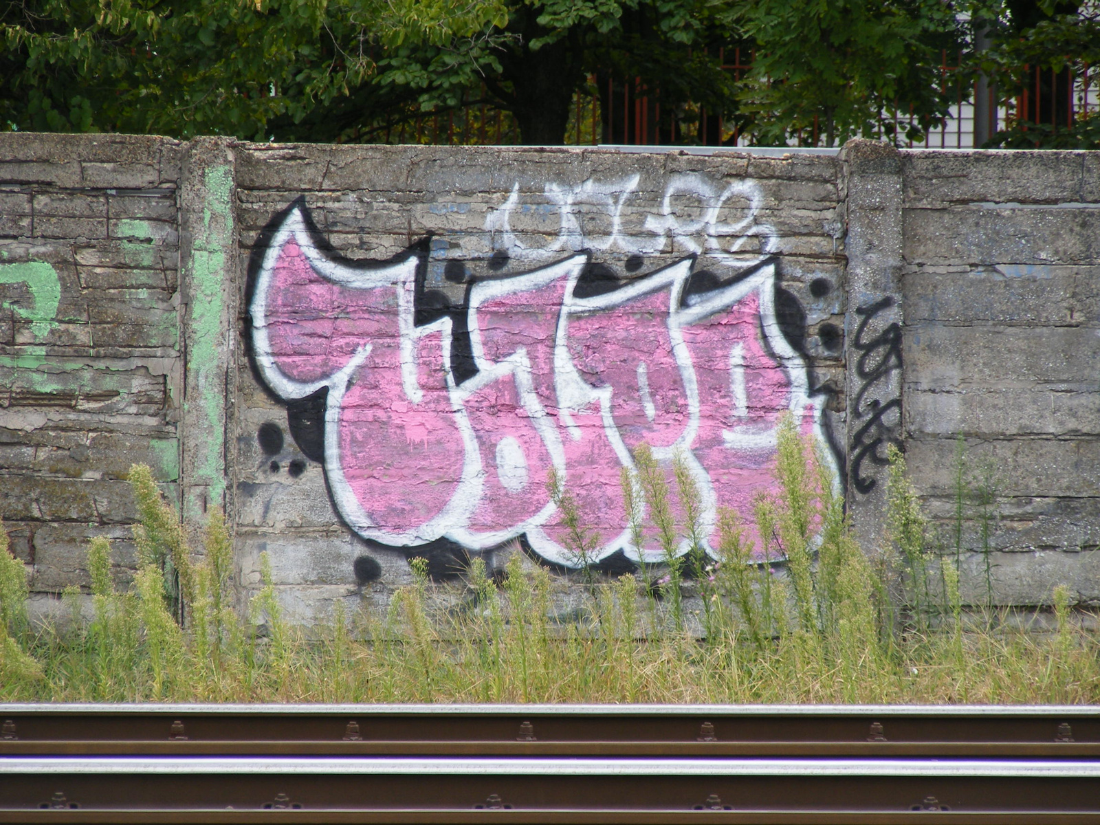 476- Volpe