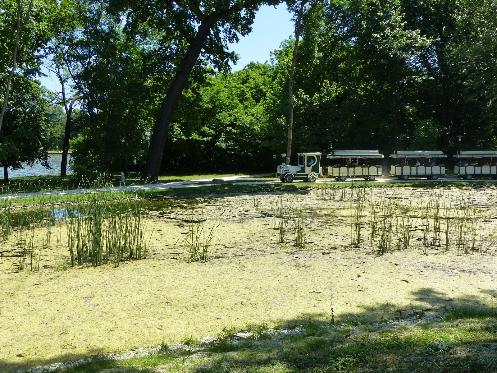 Tata, az Angol park, SzG3