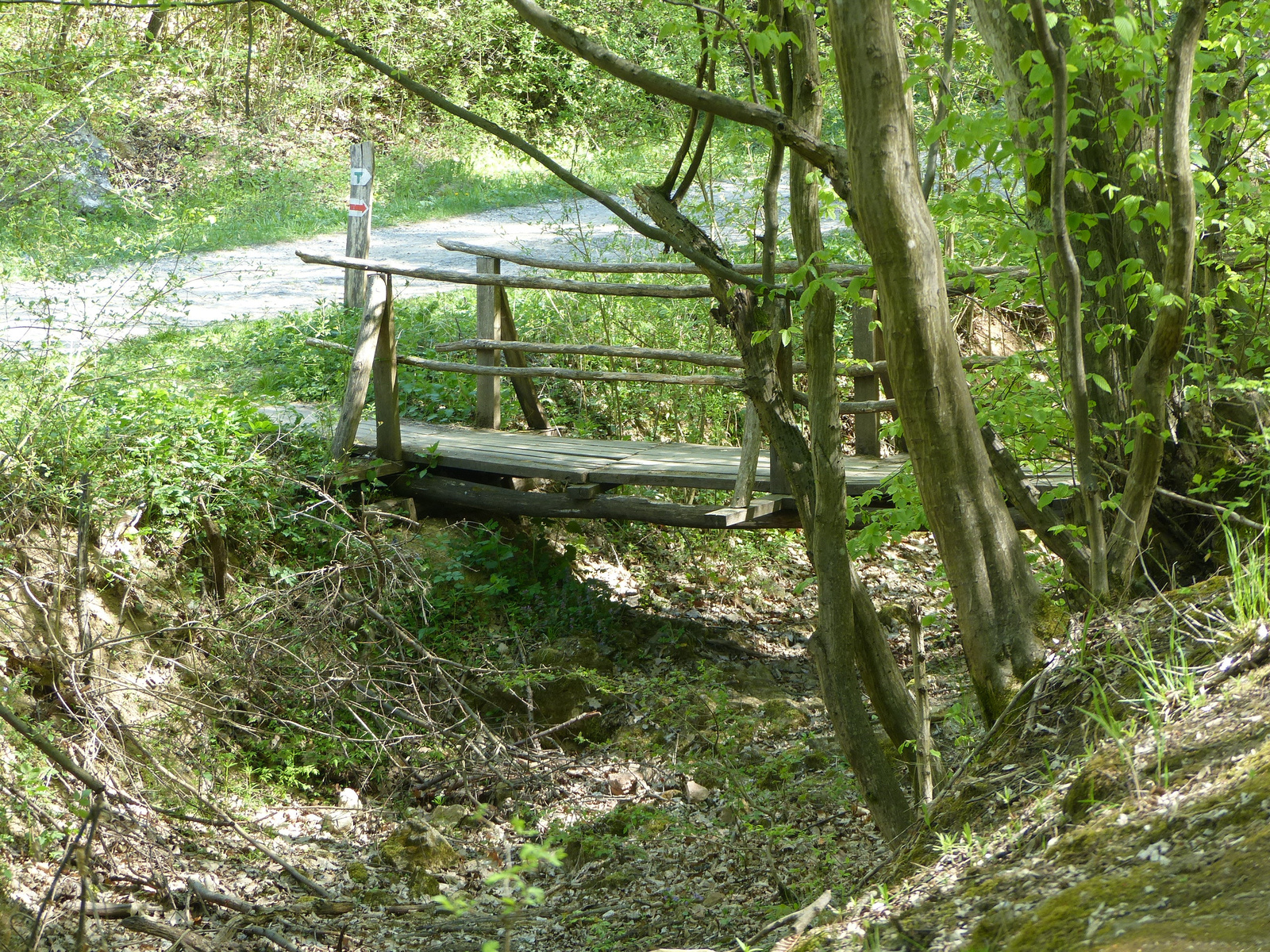 Szendehely/Katalinpuszta - Gyadai tanösvény, SzG3