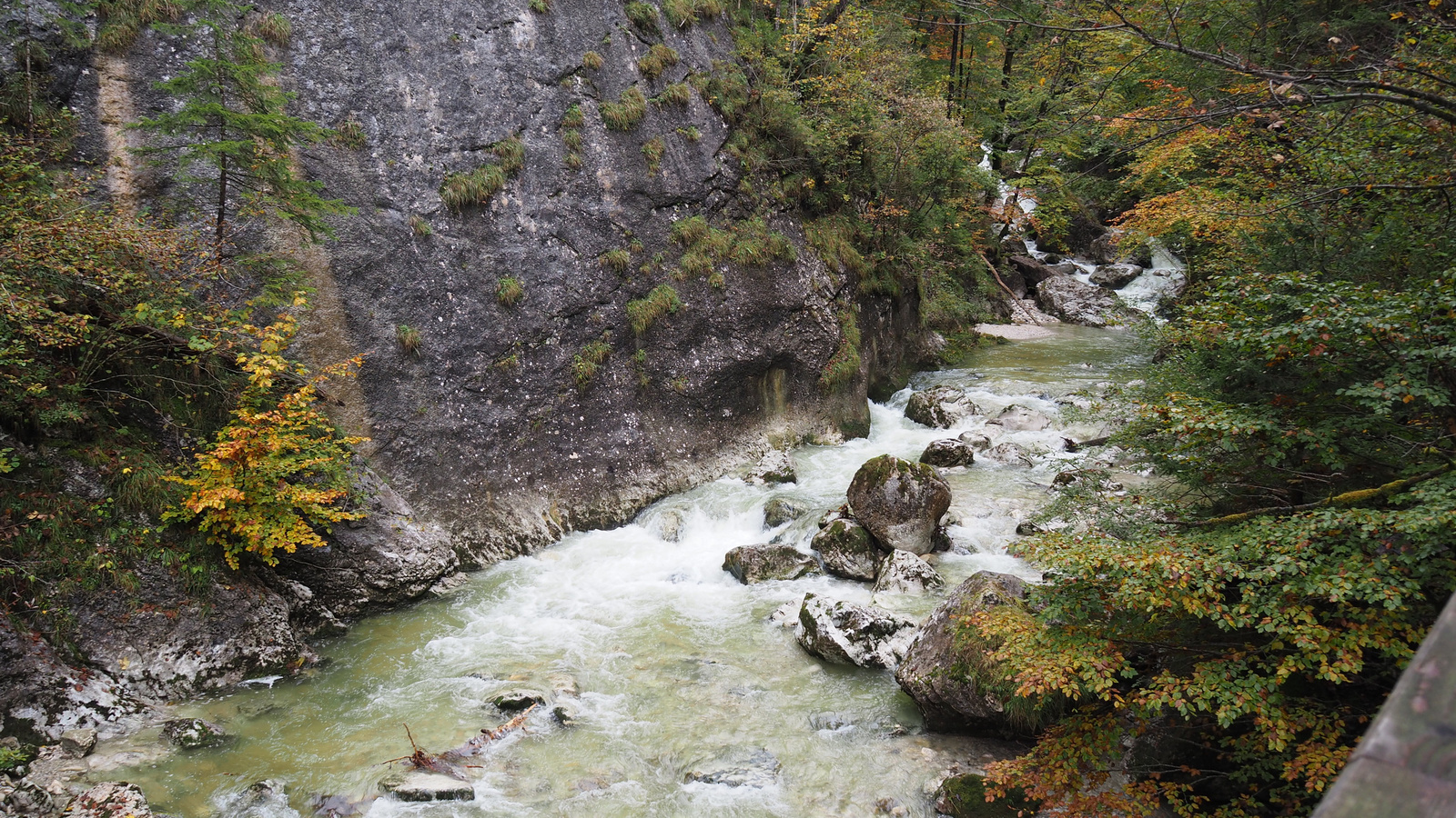 Gams bei Hieflau, Nothklamm, SzG3