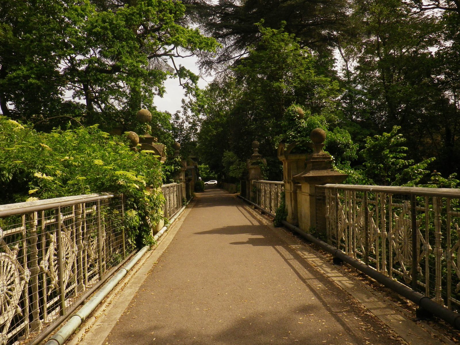 Magdalen bridge