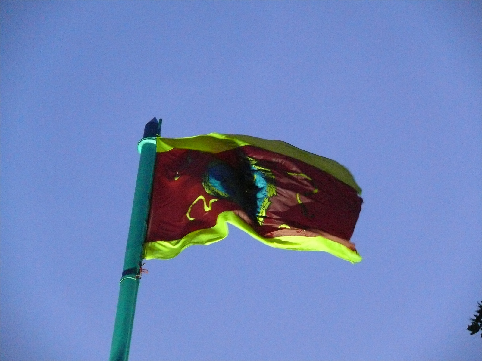Brassó zászlója