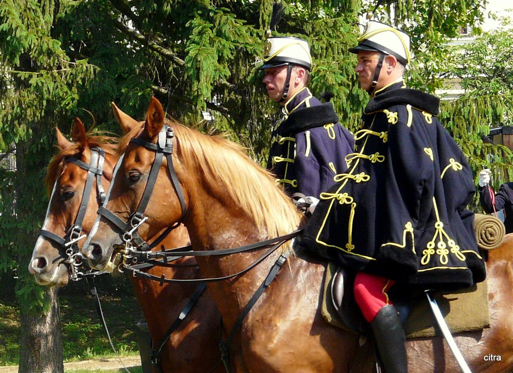 Magyar lovasság