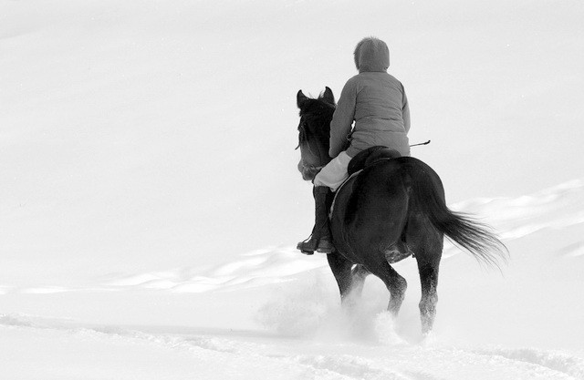 Téli lovaglás 05
