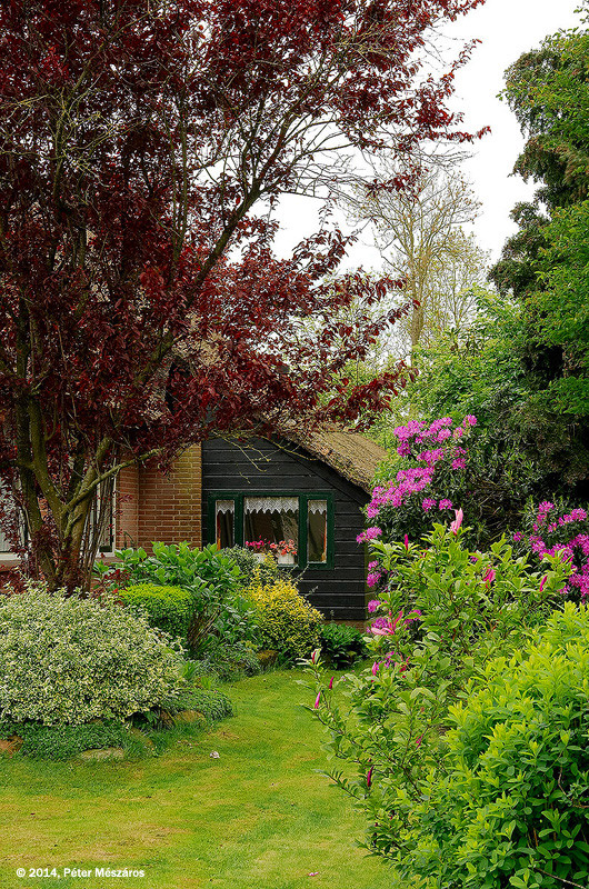 Giethoorn-5849