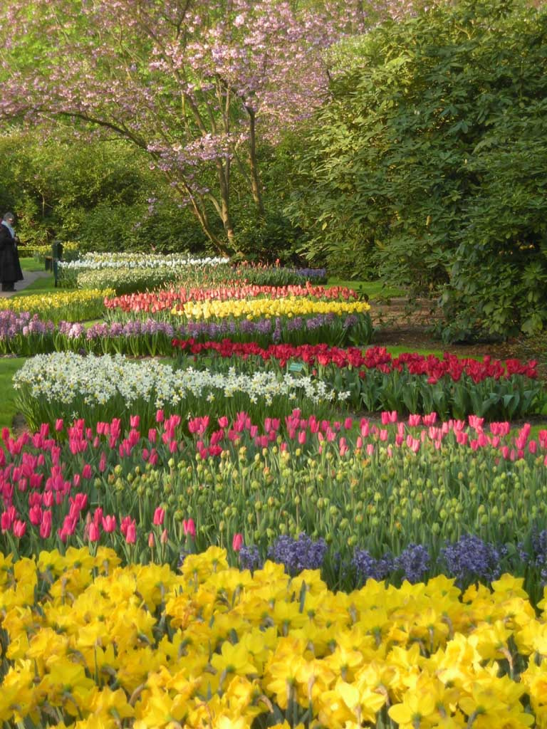 Keukenhof