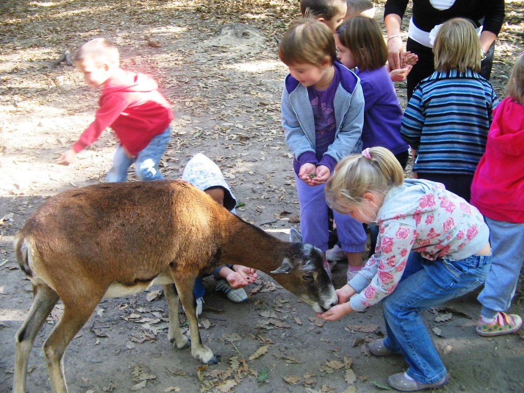 Budakeszi Vadaspark 028