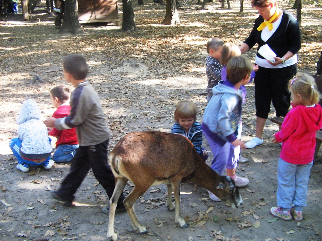 Budakeszi Vadaspark 030