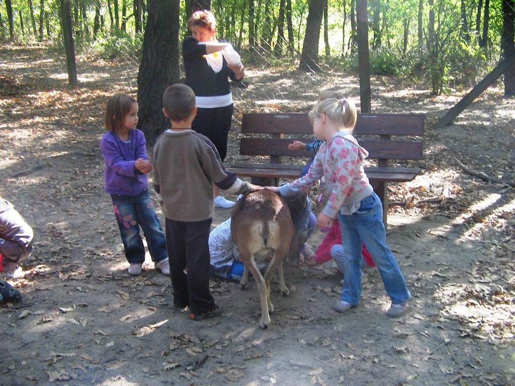 Budakeszi Vadaspark 032