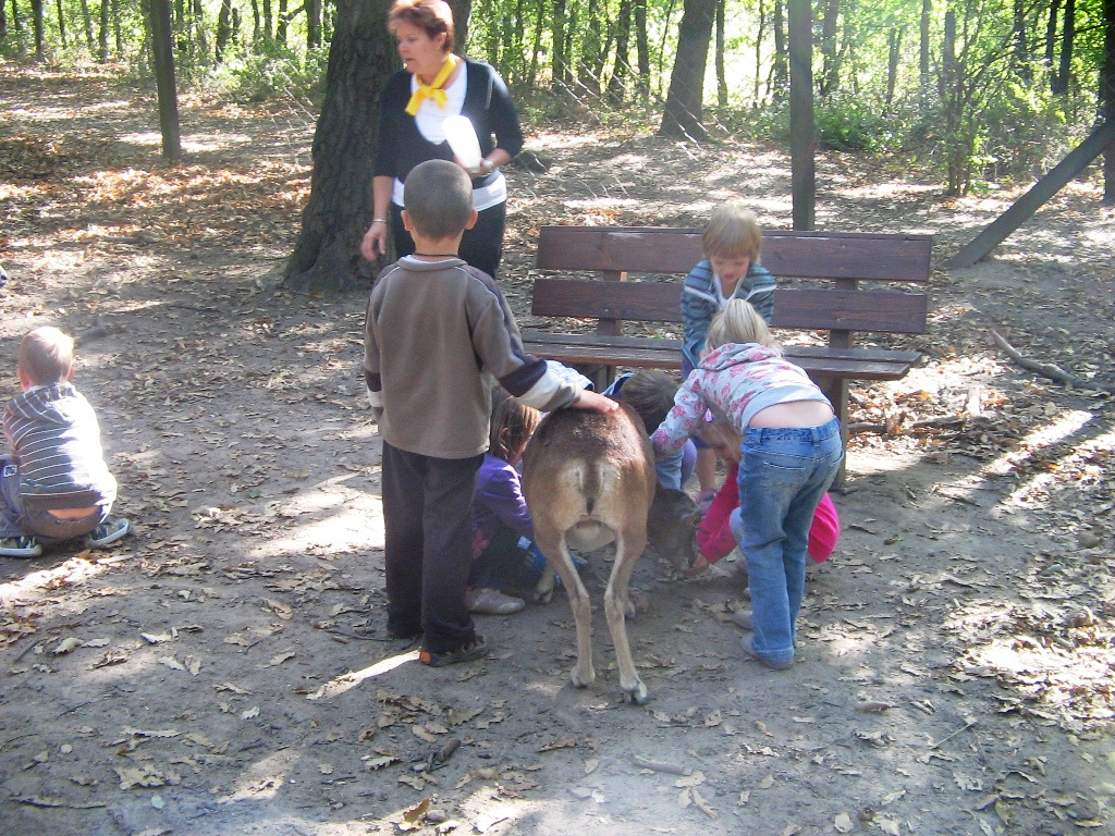 Budakeszi Vadaspark 033