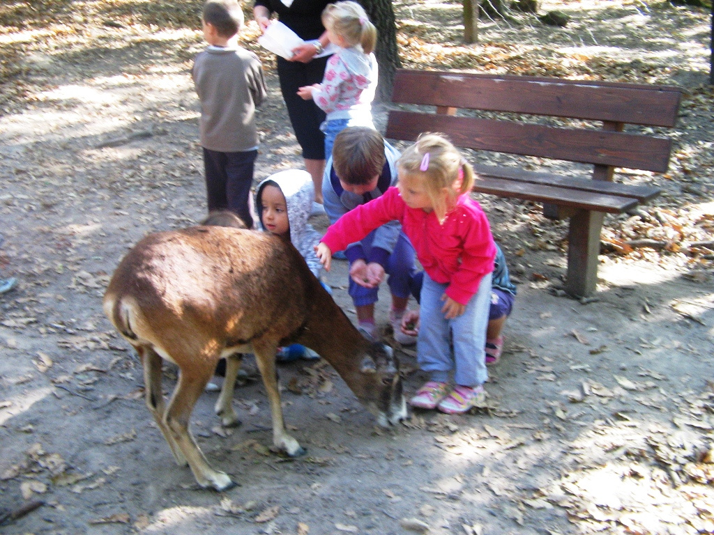 Budakeszi Vadaspark 034