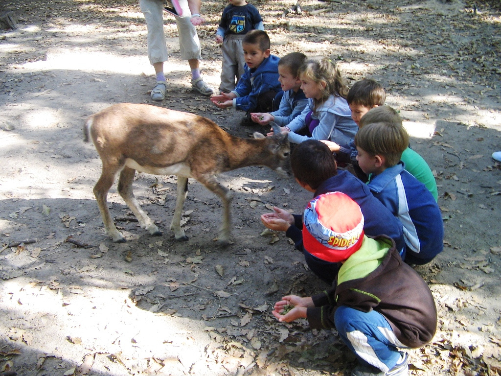 Budakeszi Vadaspark 038