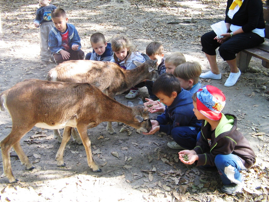 Budakeszi Vadaspark 039