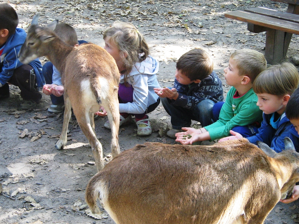 Budakeszi Vadaspark 041