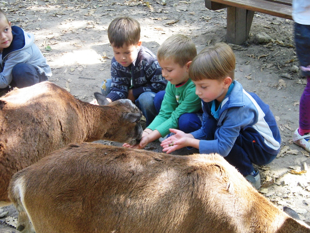 Budakeszi Vadaspark 042