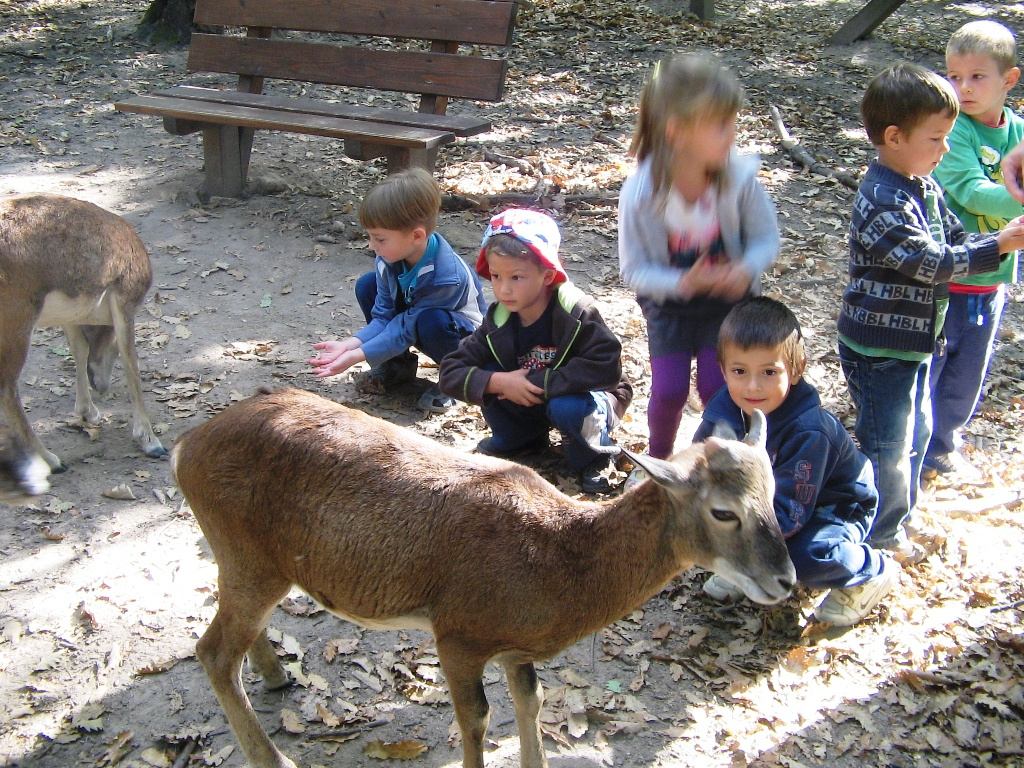 Budakeszi Vadaspark 045