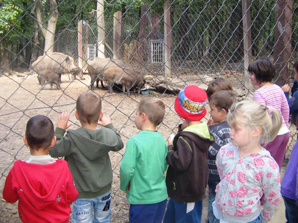 Budakeszi Vadaspark 047