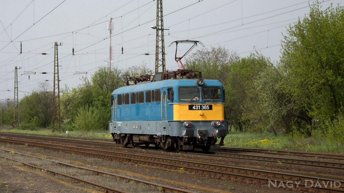 431 365, Hort-Csány, 2014.04.05.