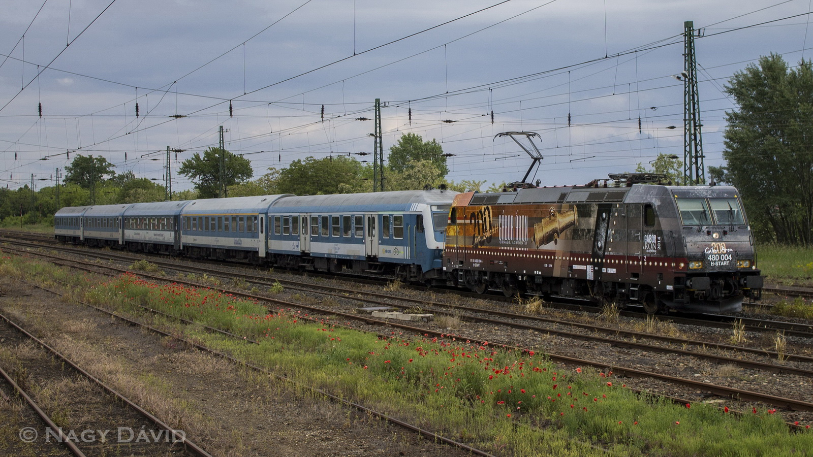 480 004, Aszód, 2014.05.18.