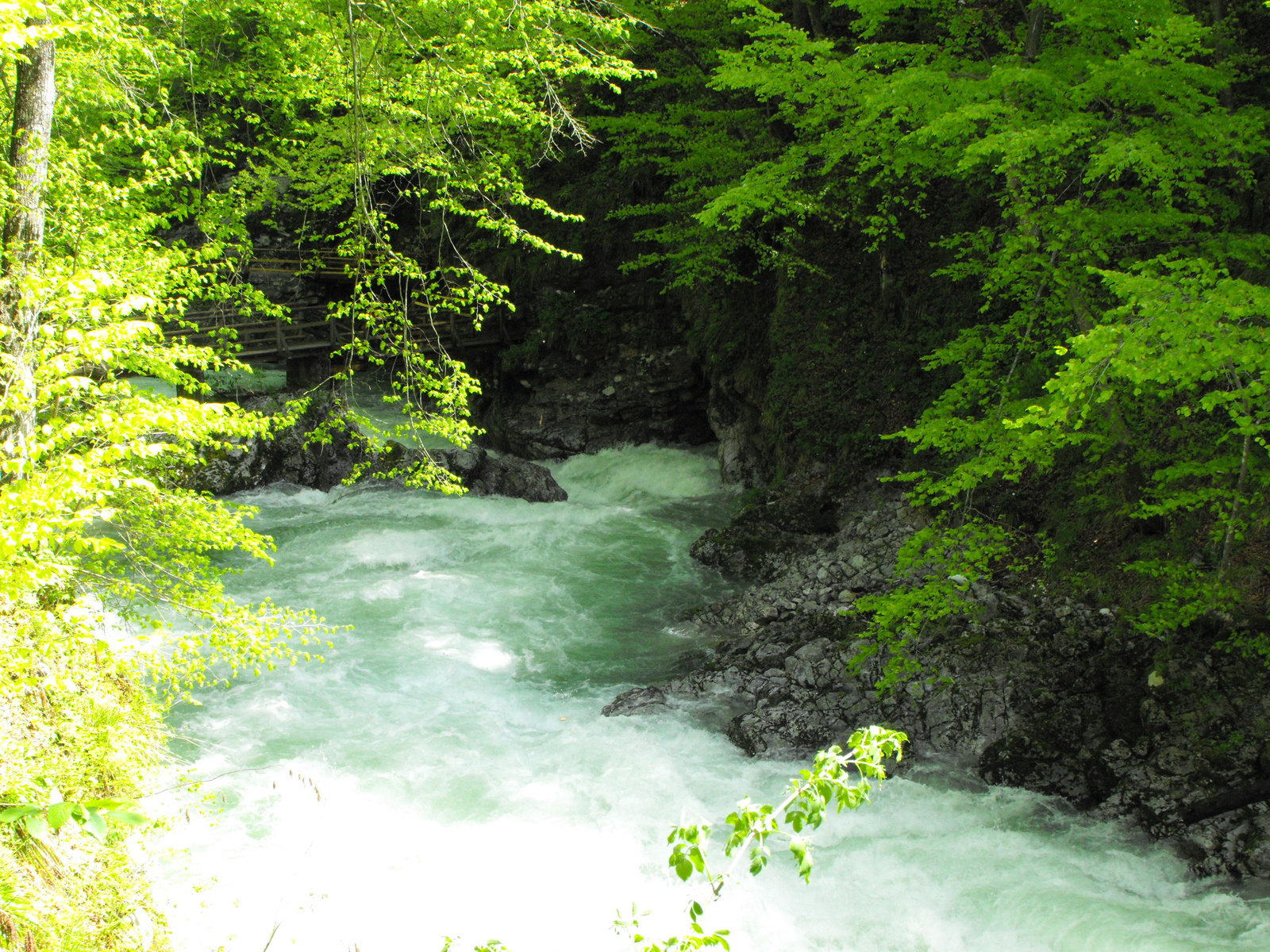 2010 0506 Slovenia 0184