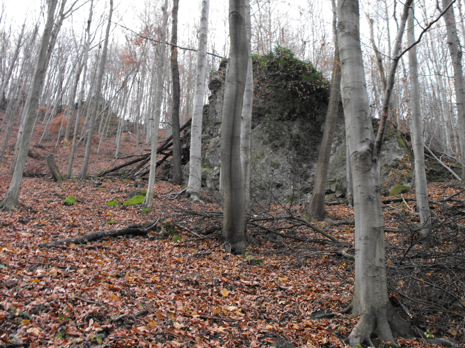 2010 1113 Visegrad 0014