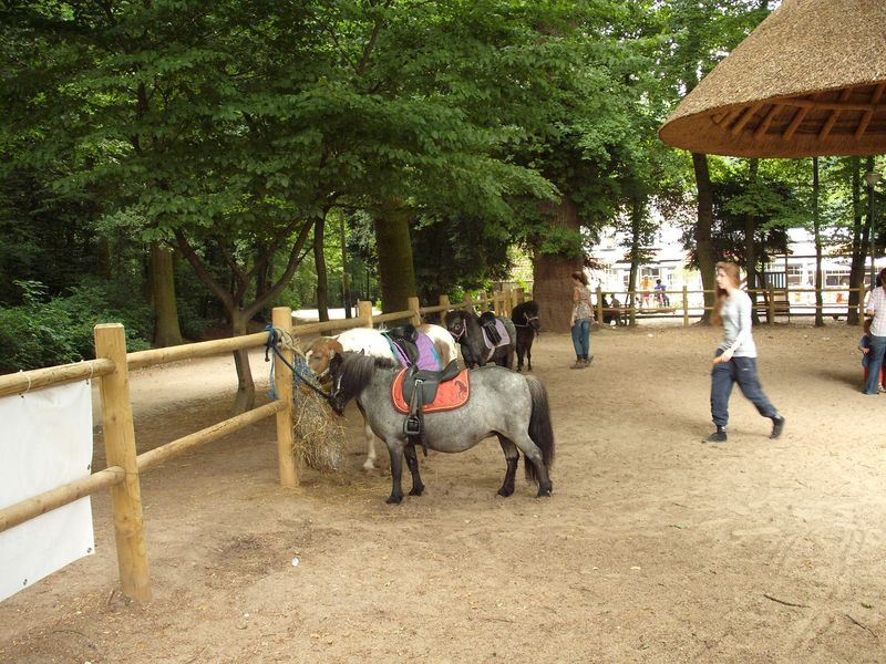 Uccle városrész és Bois de la Cambre 021