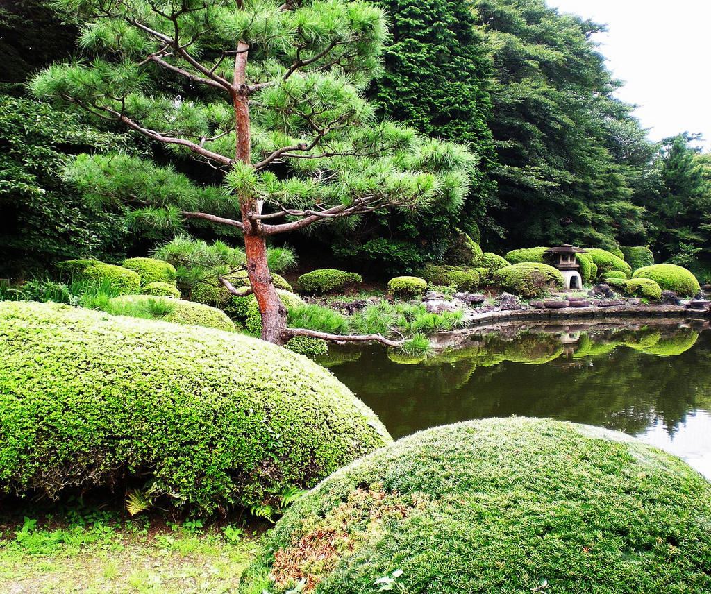 japanese garden