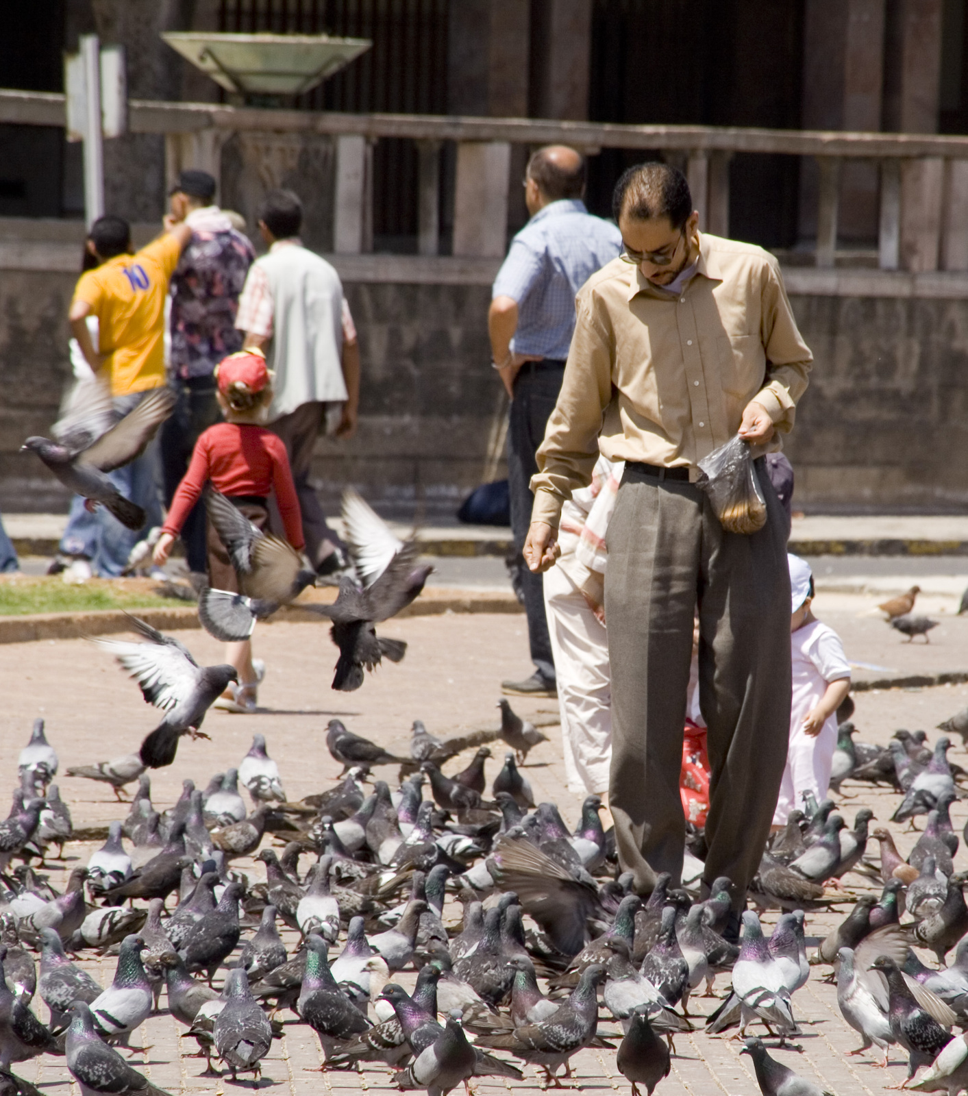 Casablanca