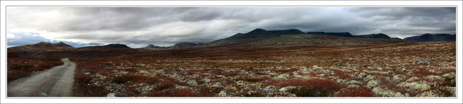 rondane