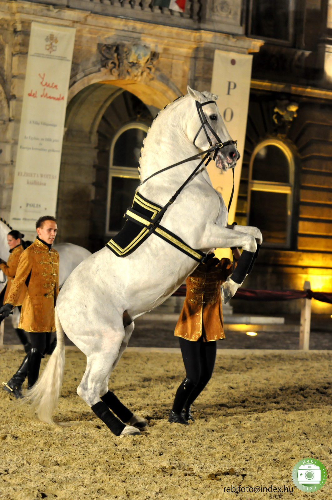 epona spanyol lovasiskola