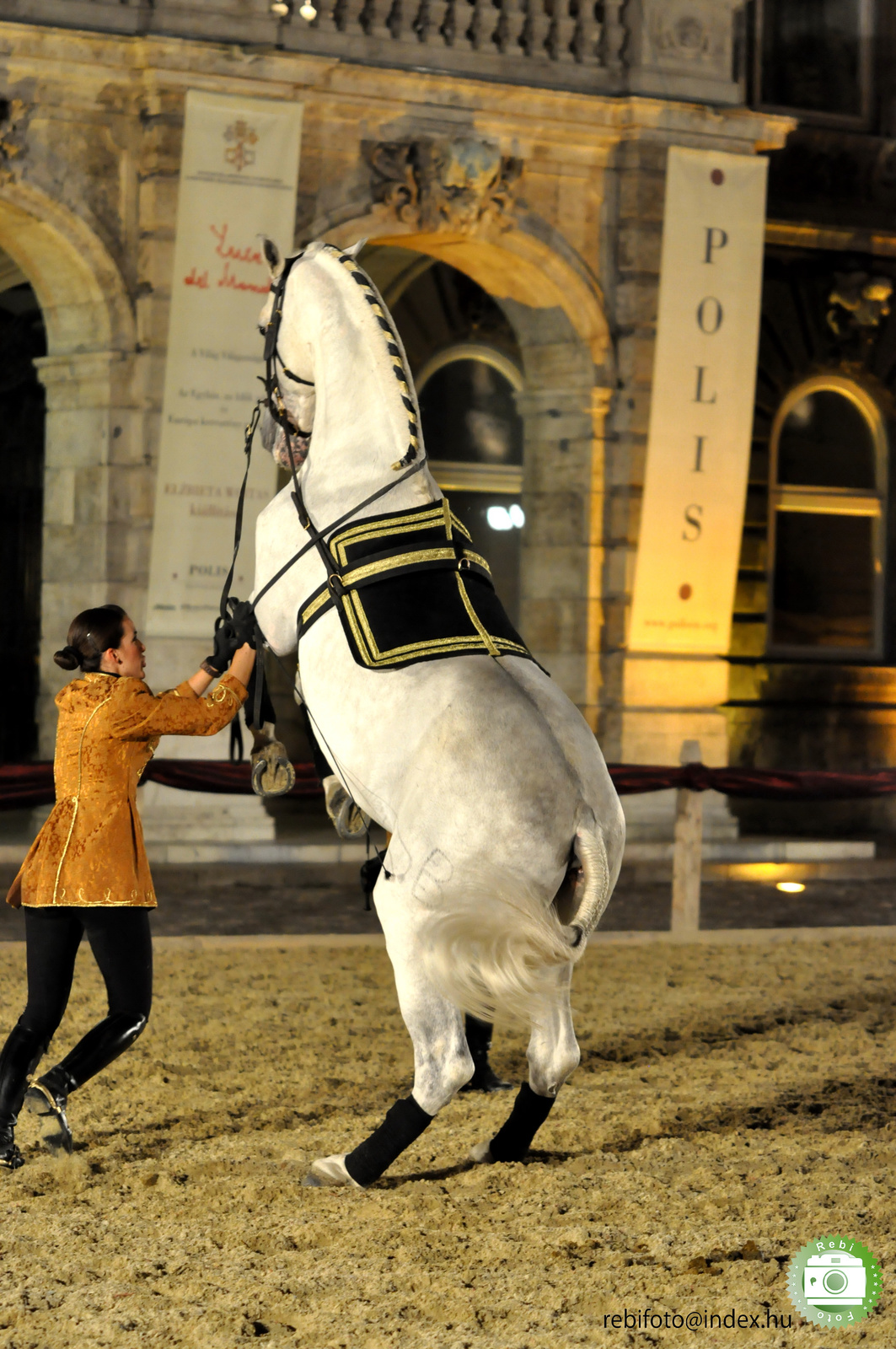 epona spanyol lovasiskola