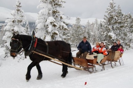 pferdeschlitten  Austria