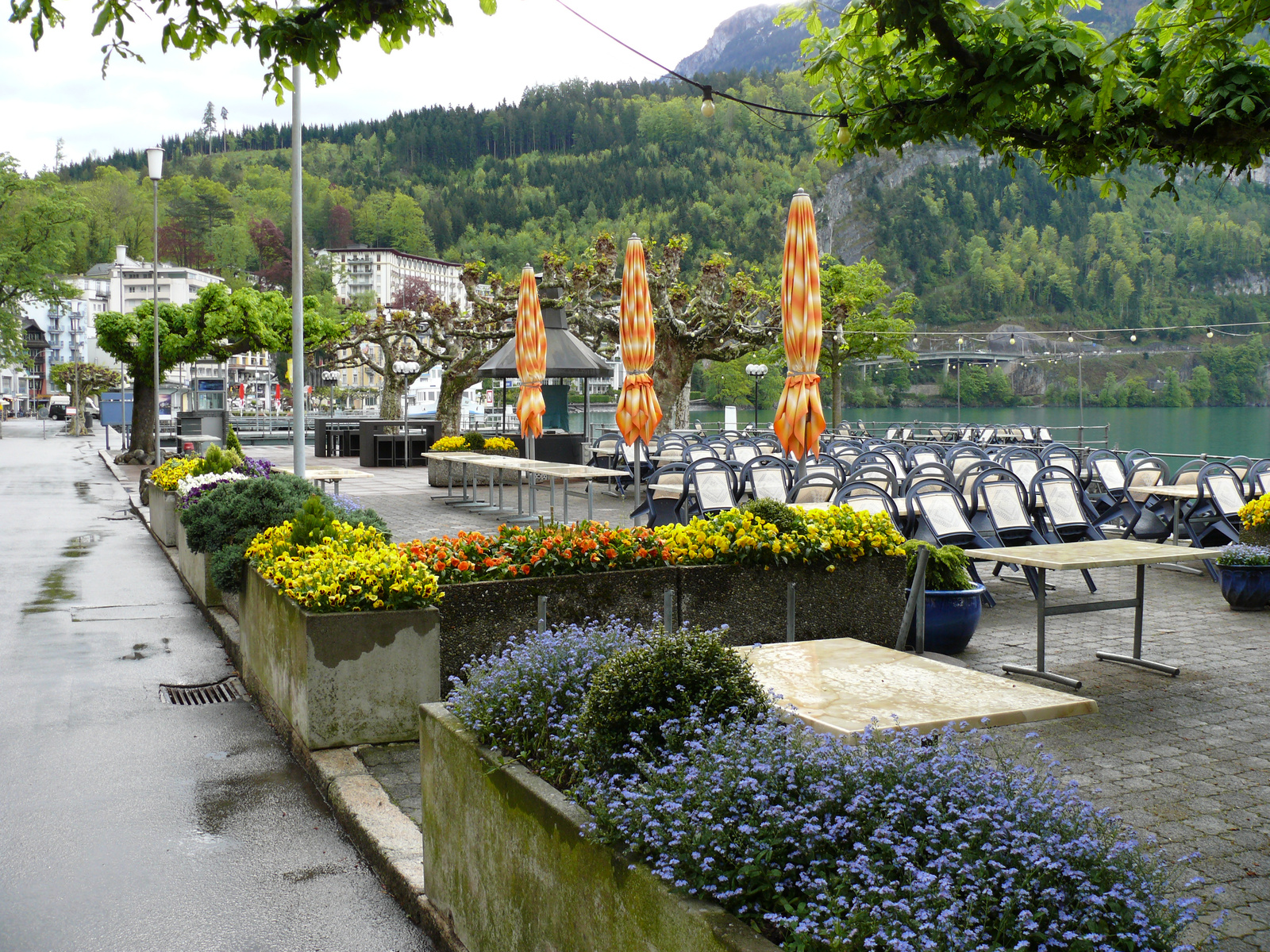 Herzlich Willkommen im Seehotel Waldstätterhof Brunnen