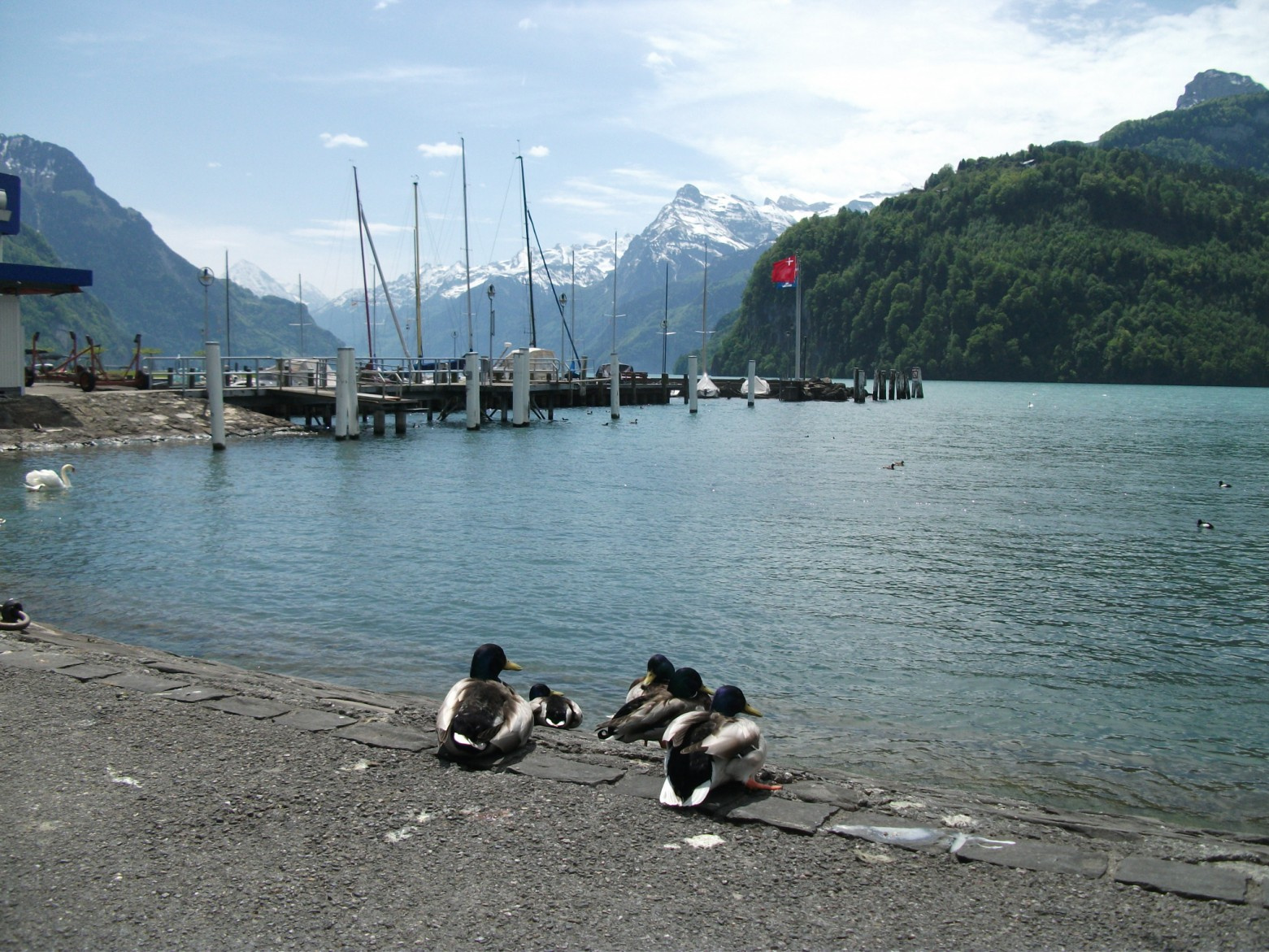 lake luzern 015