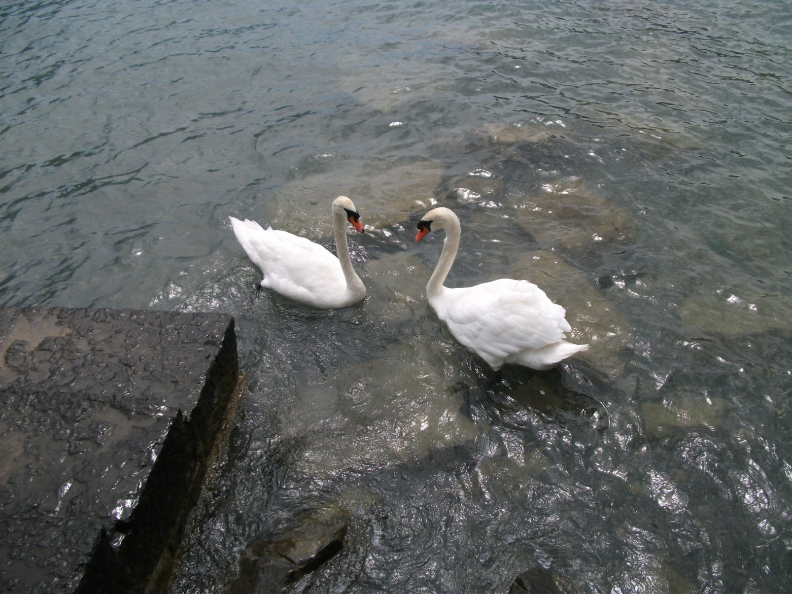 lake luzern 041