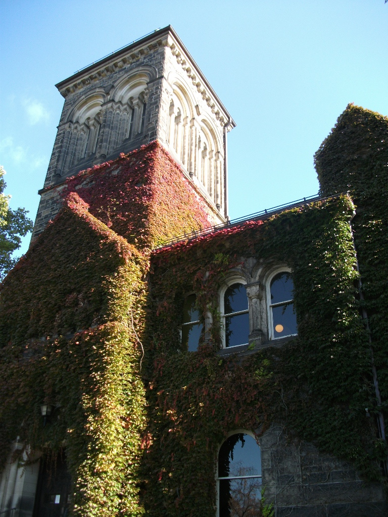 torontó university 051