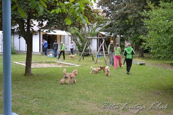 BKK tabor 2013 0674