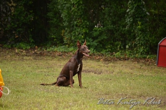 BKK tabor 2013 3017